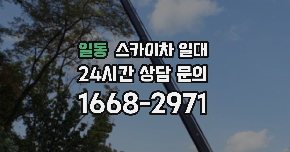 일동 스카이차 일대