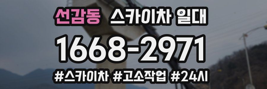 선감동 스카이차 일대