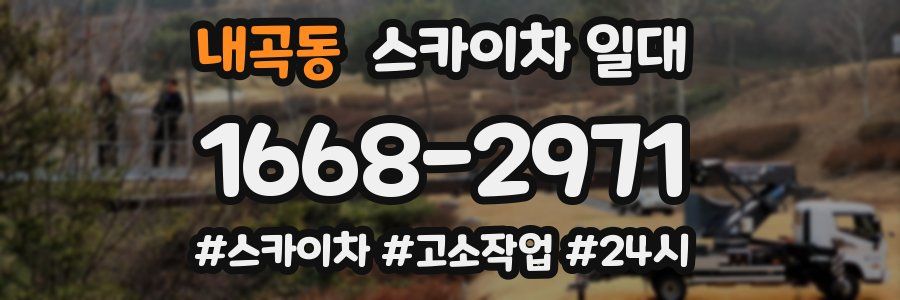 내곡동 스카이차 일대