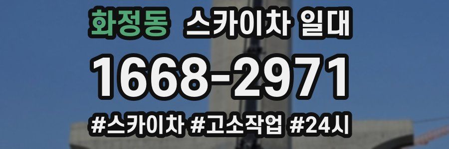화정동 스카이차 일대