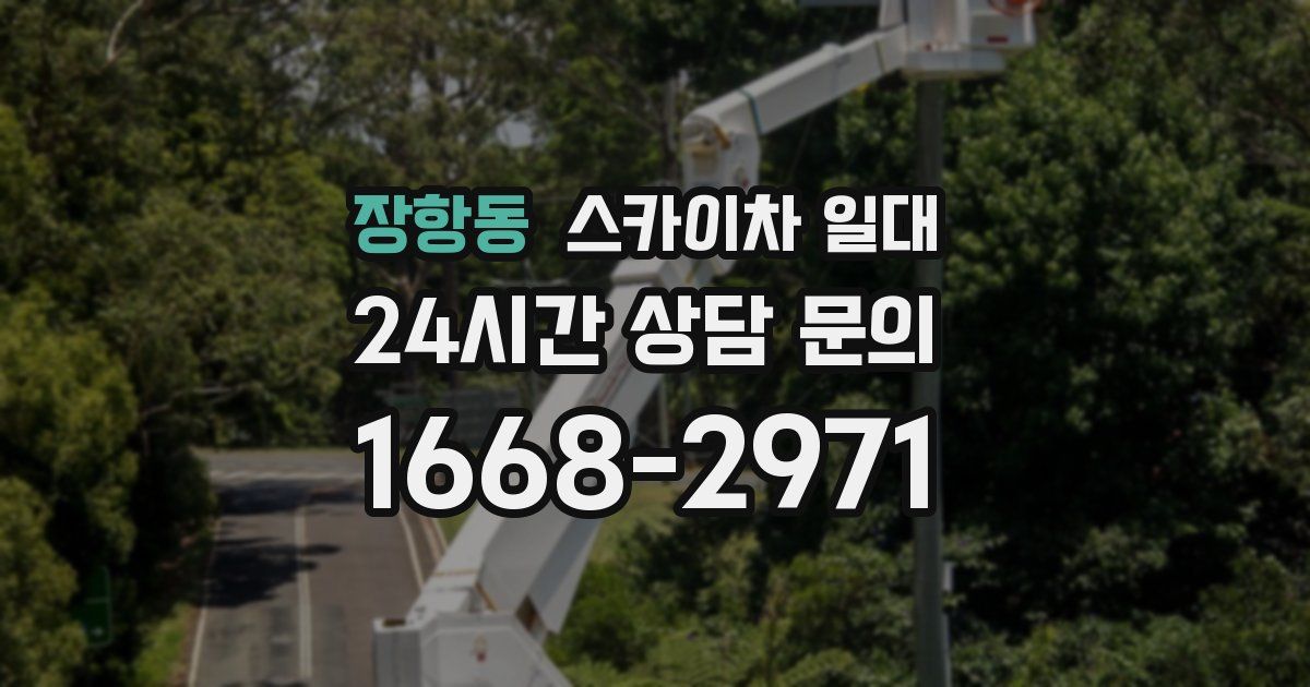 장항동 스카이차 일대