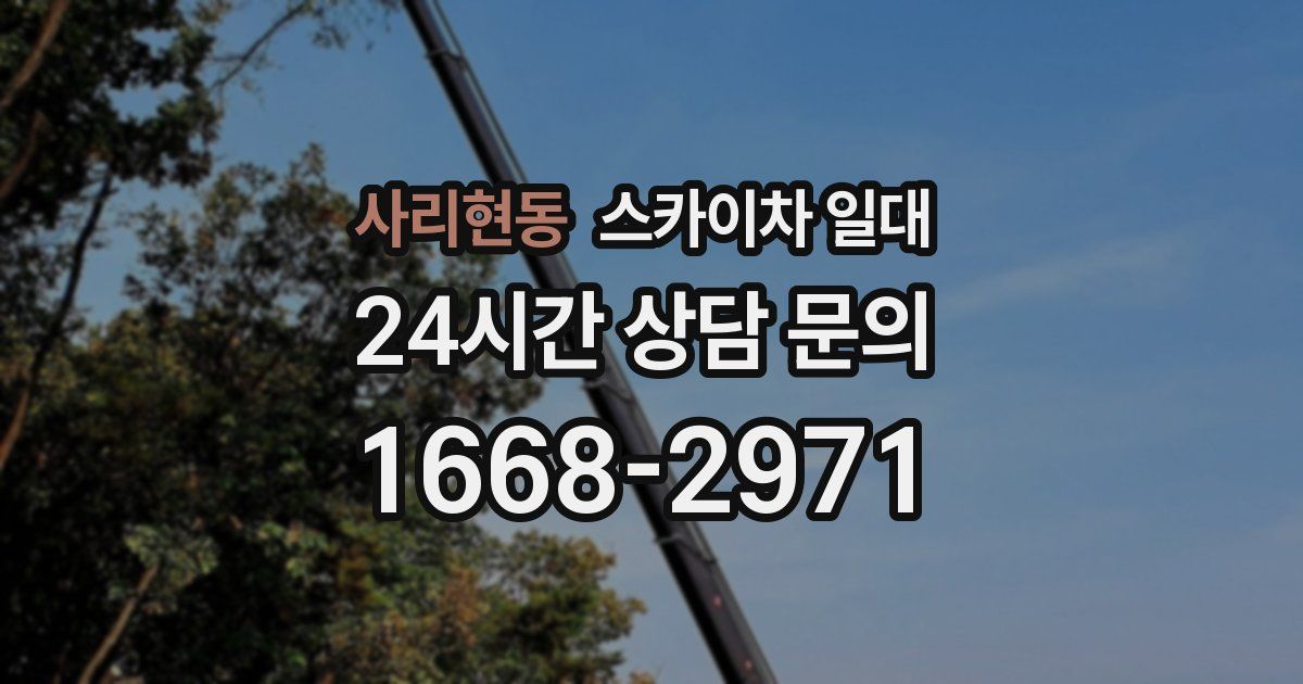 사리현동 스카이차 일대