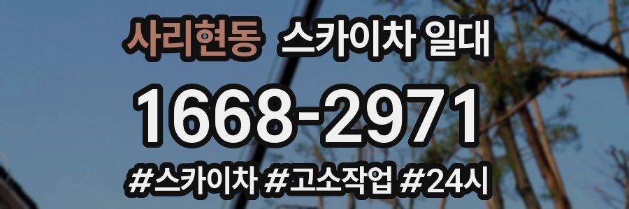 사리현동 스카이차 일대