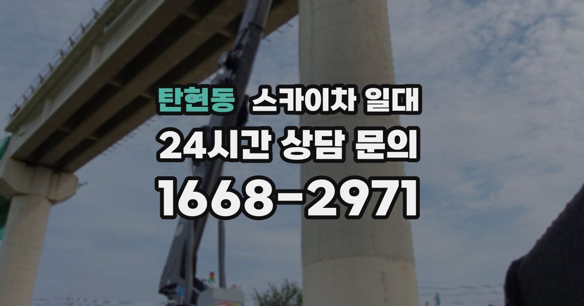 탄현동 스카이차 일대