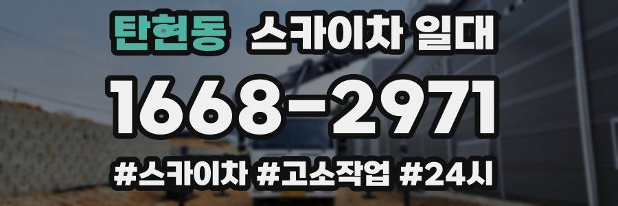 탄현동 스카이차 일대