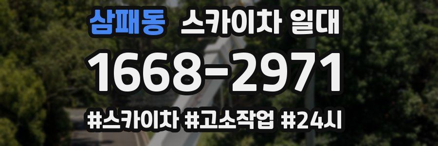 삼패동 스카이차 일대