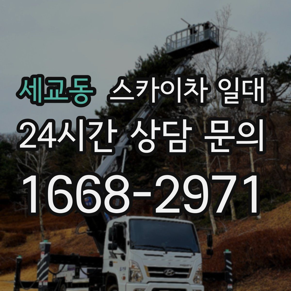 세교동 스카이차 일대