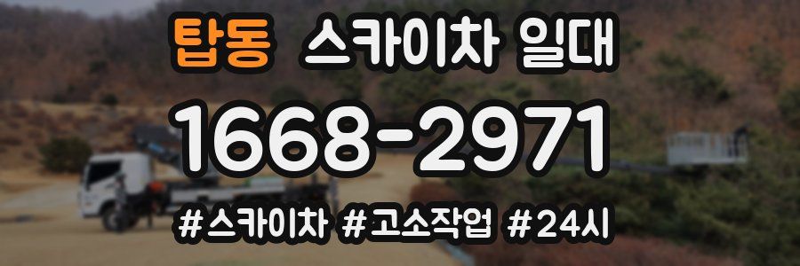 탑동 스카이차 일대