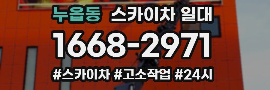 누읍동 스카이차 일대