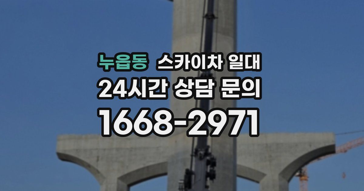누읍동 스카이차 일대