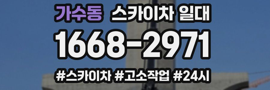 가수동 스카이차 일대