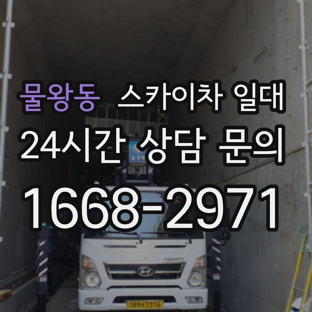 물왕동 스카이차 일대