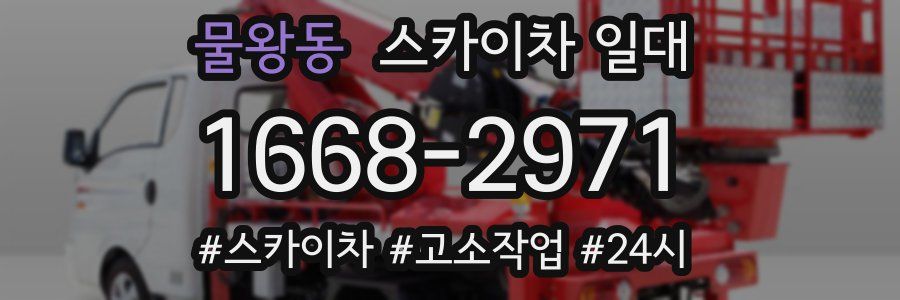 물왕동 스카이차 일대