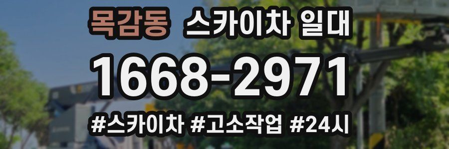 목감동 스카이차 일대