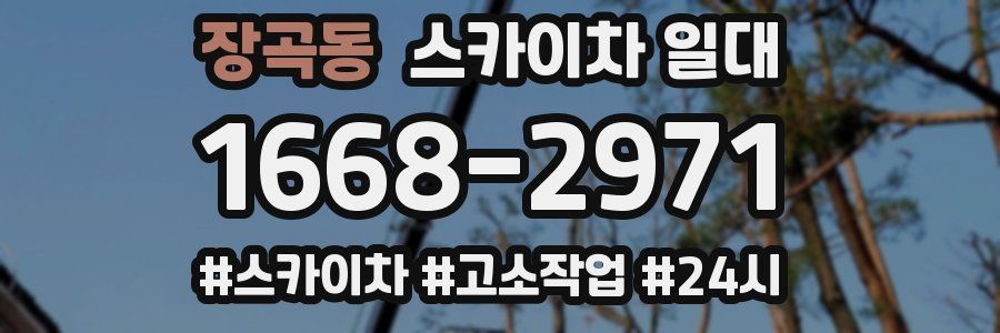 장곡동 스카이차 일대