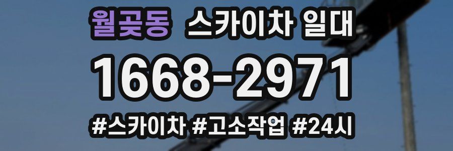 월곶동 스카이차 일대