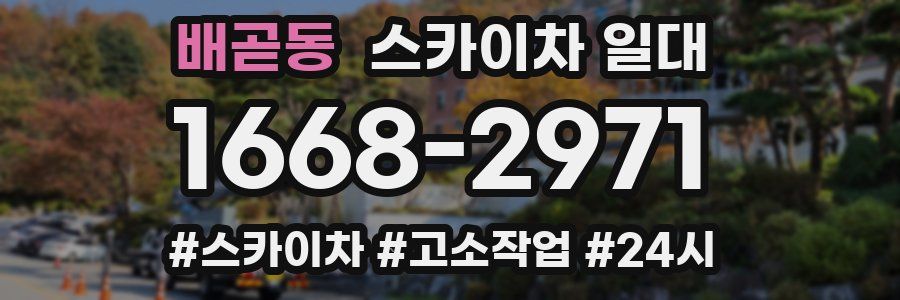 배곧동 스카이차 일대