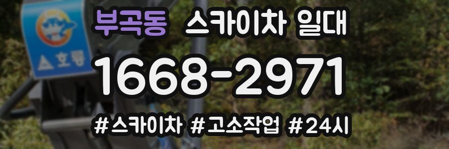 부곡동 스카이차 일대