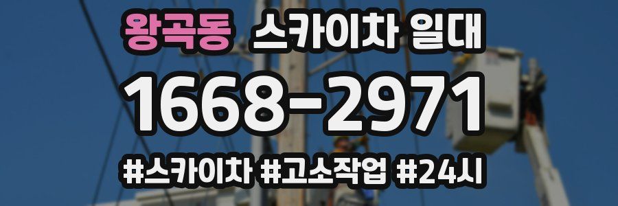왕곡동 스카이차 일대