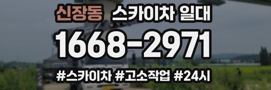 신장동 스카이차 일대