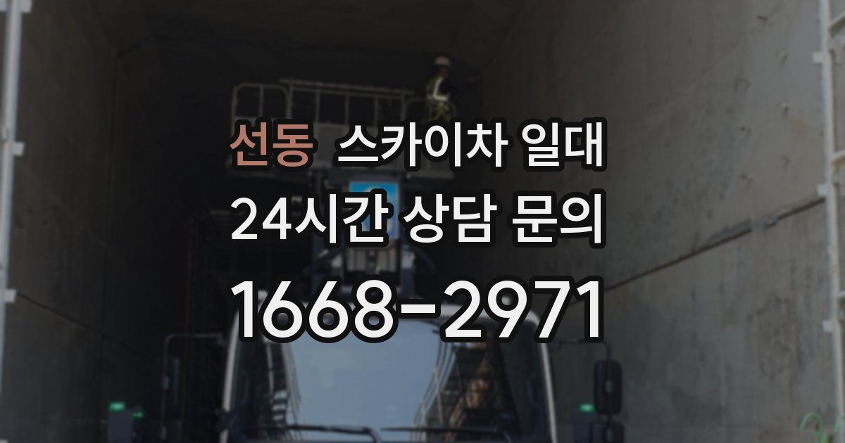 선동 스카이차 일대