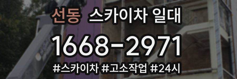 선동 스카이차 일대