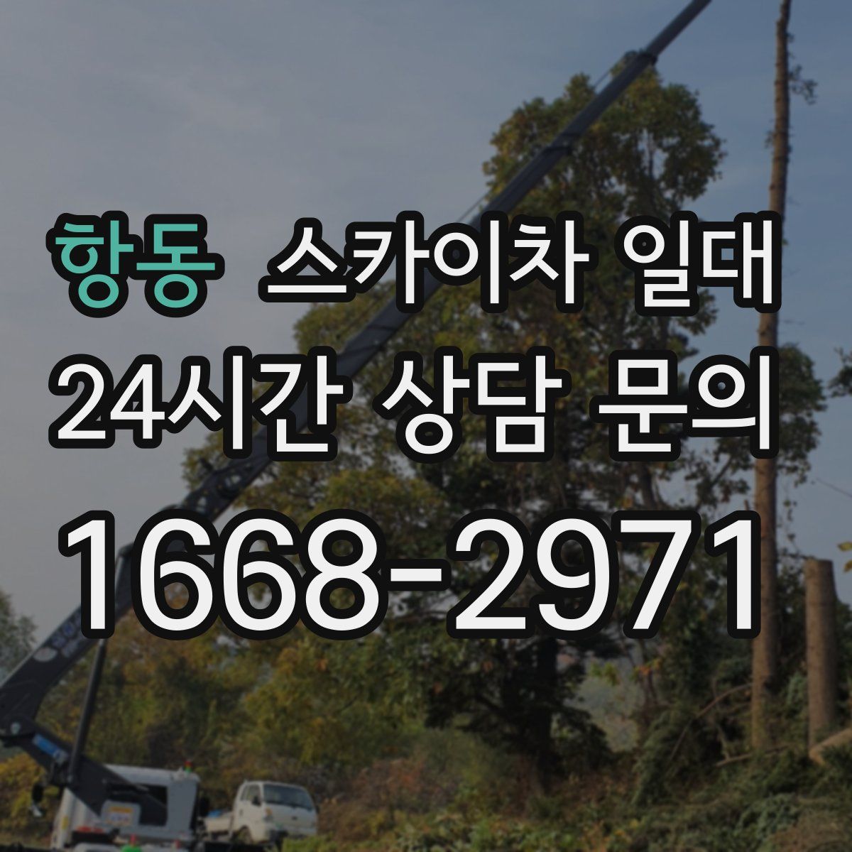 항동 스카이차 일대