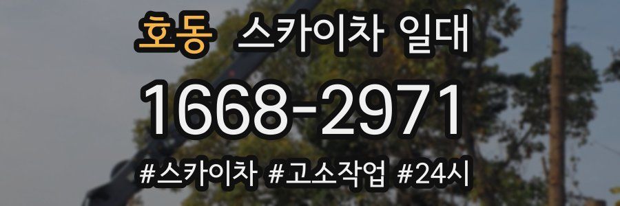 호동 스카이차 일대