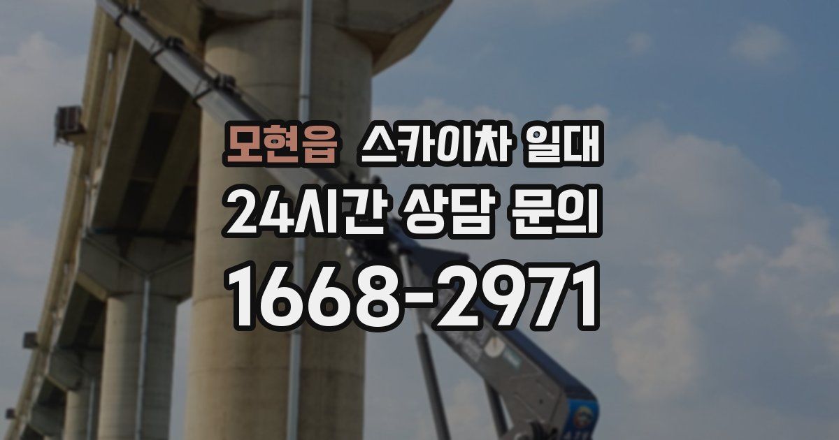 모현읍 스카이차 일대