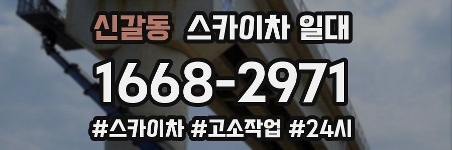신갈동 스카이차 일대