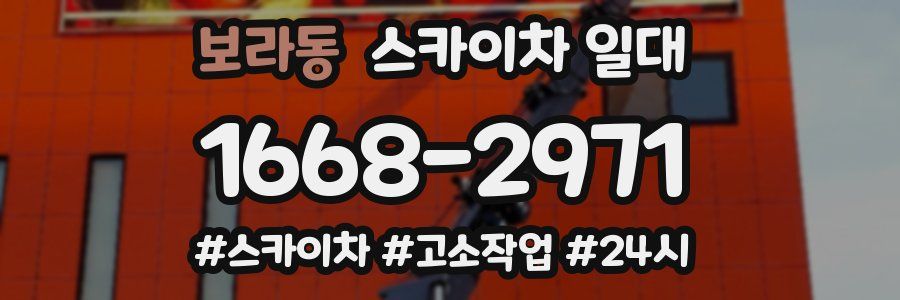 보라동 스카이차 일대