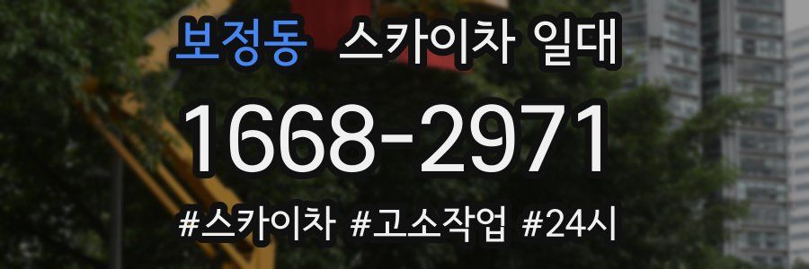 보정동 스카이차 일대