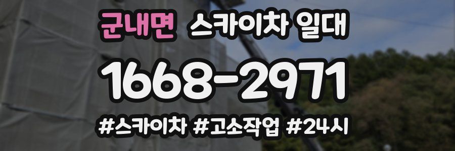 군내면 스카이차 일대
