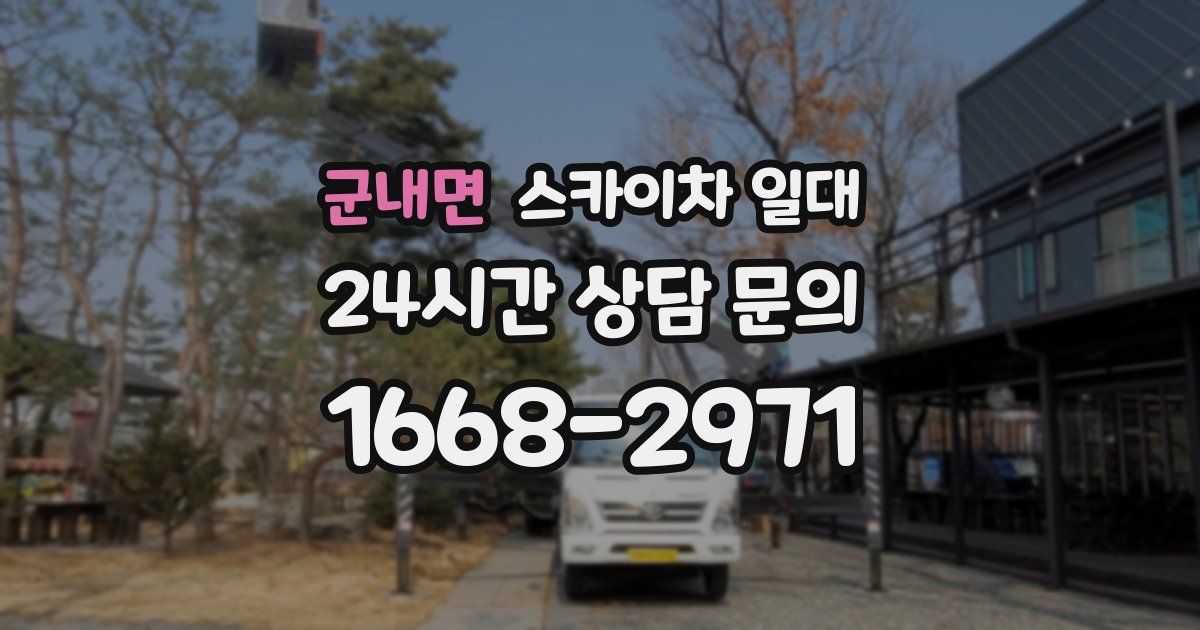 군내면 스카이차 일대