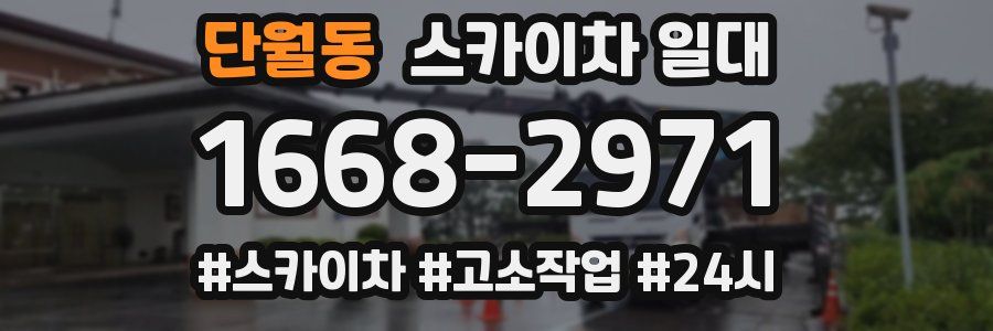 단월동 스카이차 일대