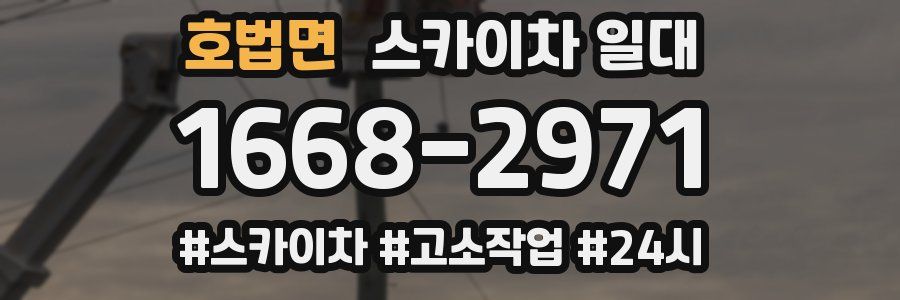 호법면 스카이차 일대