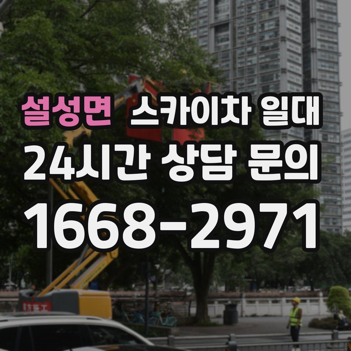 설성면 스카이차 일대