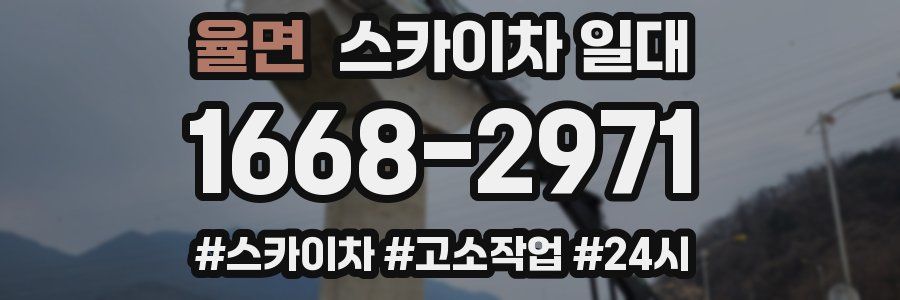 율면 스카이차 일대