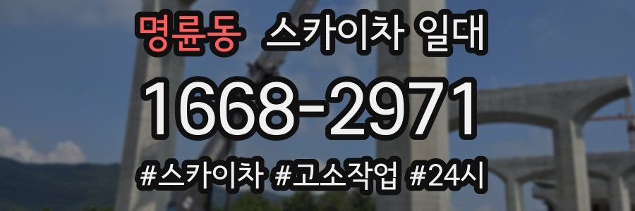 명륜동 스카이차 일대