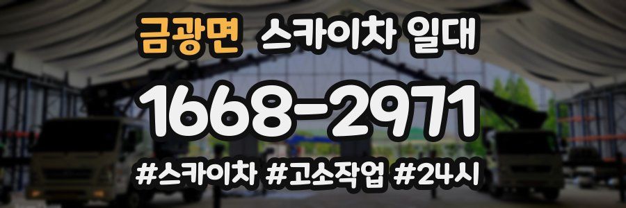 금광면 스카이차 일대