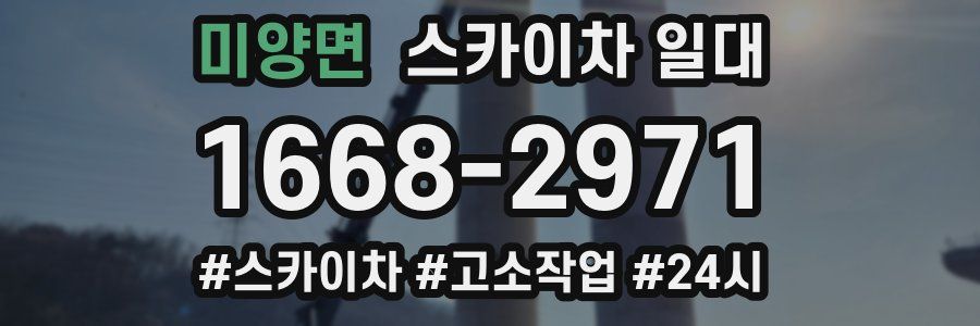 미양면 스카이차 일대
