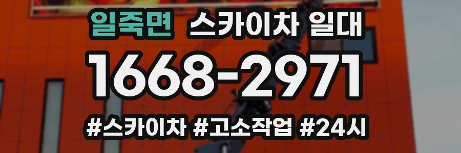일죽면 스카이차 일대