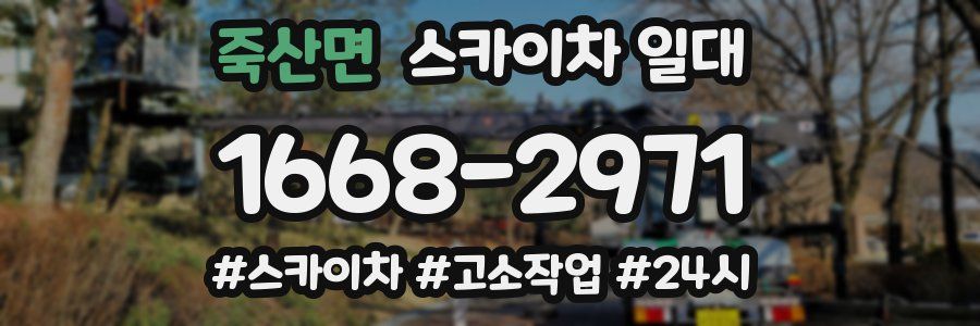 죽산면 스카이차 일대