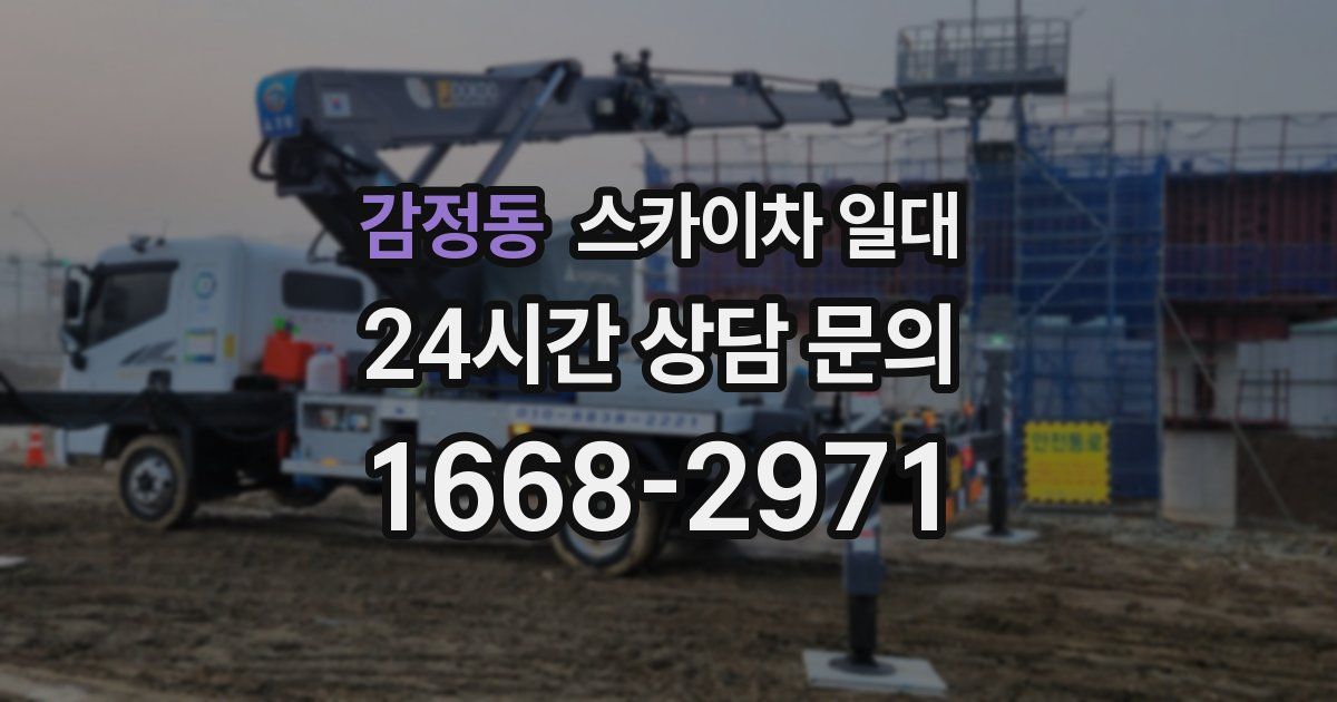 감정동 스카이차 일대
