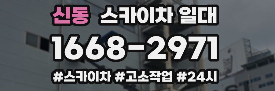 신동 스카이차 일대