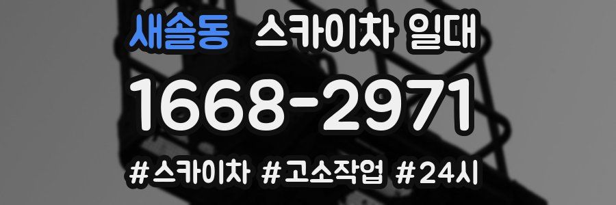 새솔동 스카이차 일대
