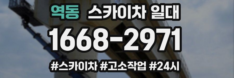 역동 스카이차 일대