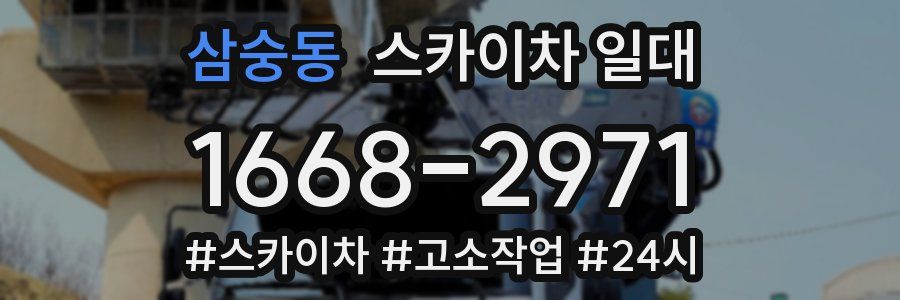 삼숭동 스카이차 일대