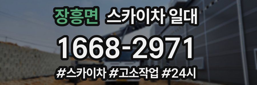 장흥면 스카이차 일대