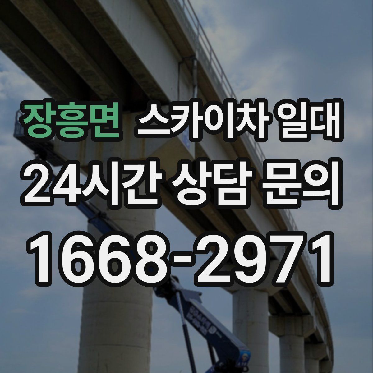 장흥면 스카이차 일대